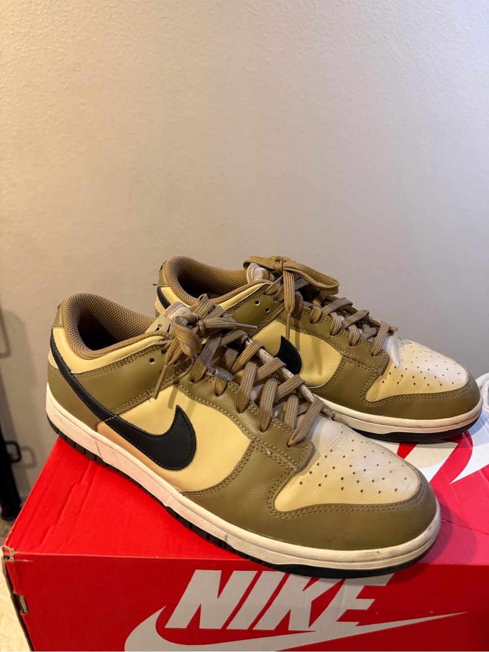 Nike Men’s Dunk Low Dark Driftwood DD1503-200